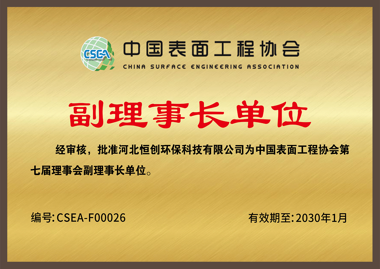 中國(guó)表面工程協(xié)會(huì)-副理事長(zhǎng)